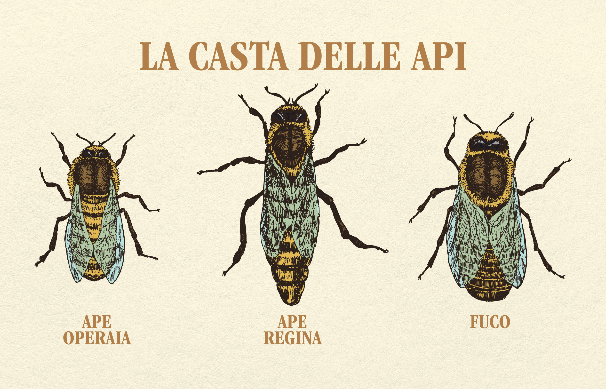 casta api