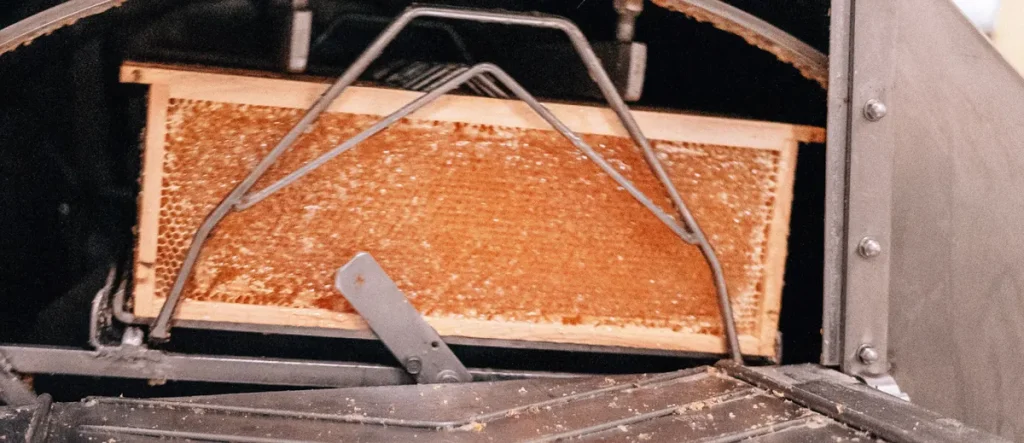 oligoelementi miele adi apicoltura