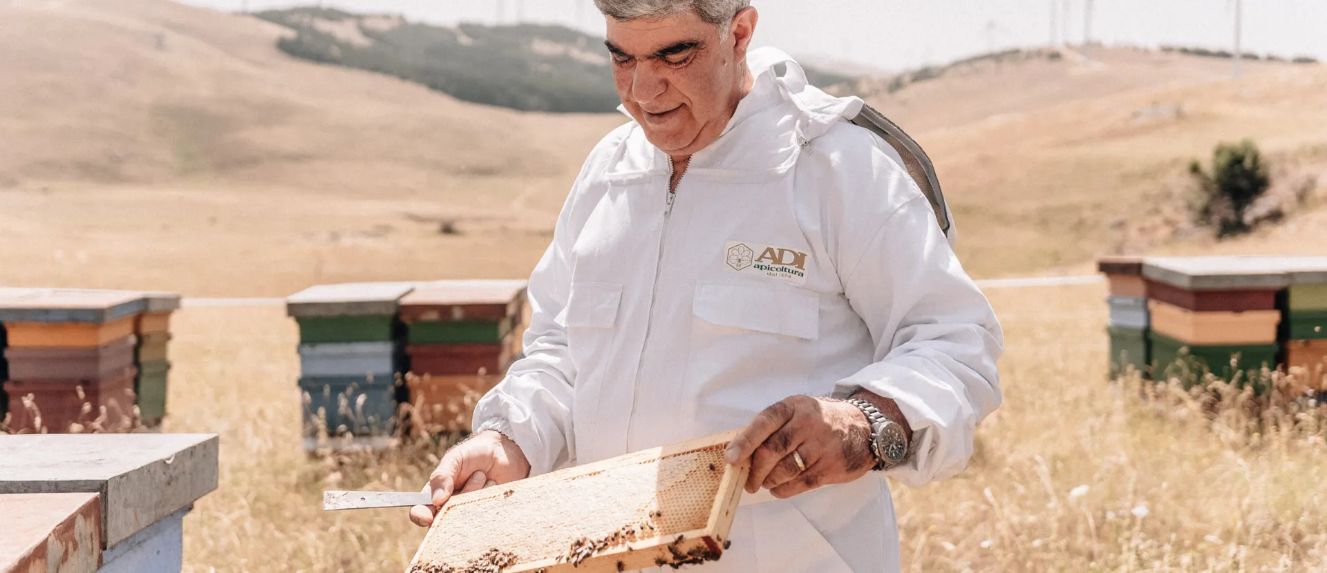 Miele di Tornareccio - ADI Apicoltura