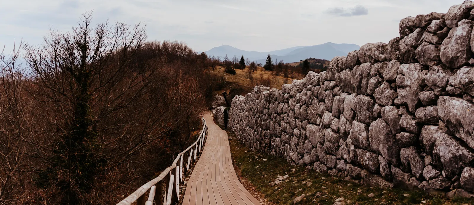 Cosa visitare in Abruzzo: l'azienda di ADI Apicoltura