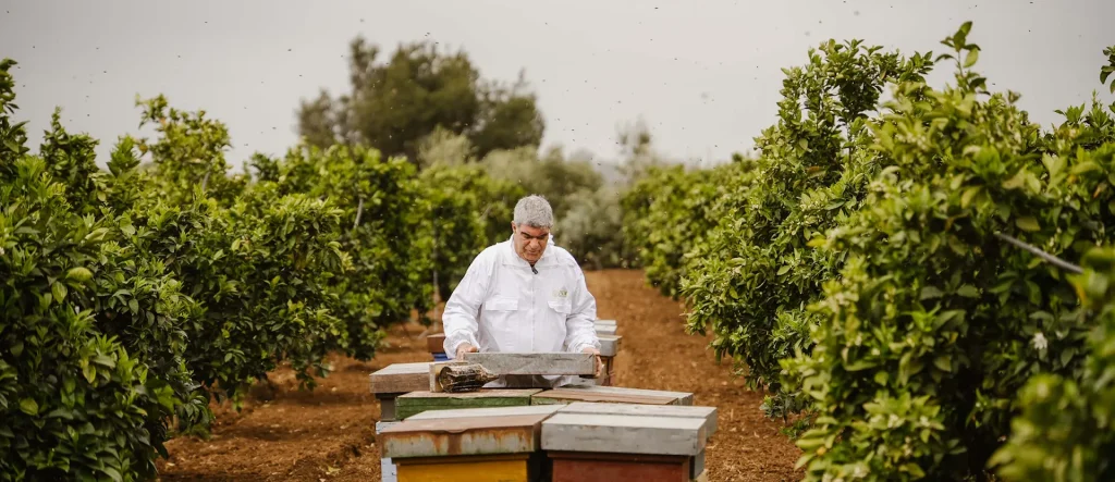 Apicoltura - ADI Apicoltura