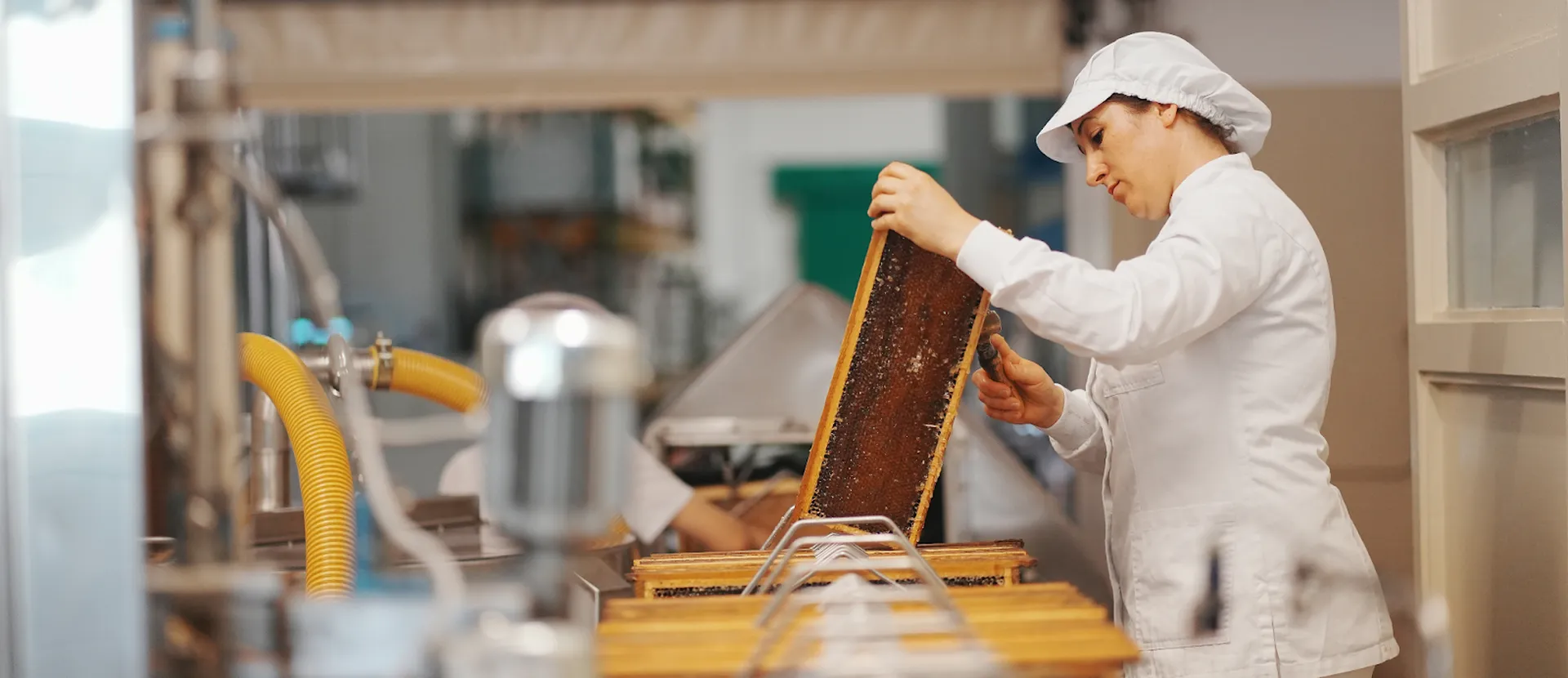 Azienda apicoltura - ADI Apicoltura