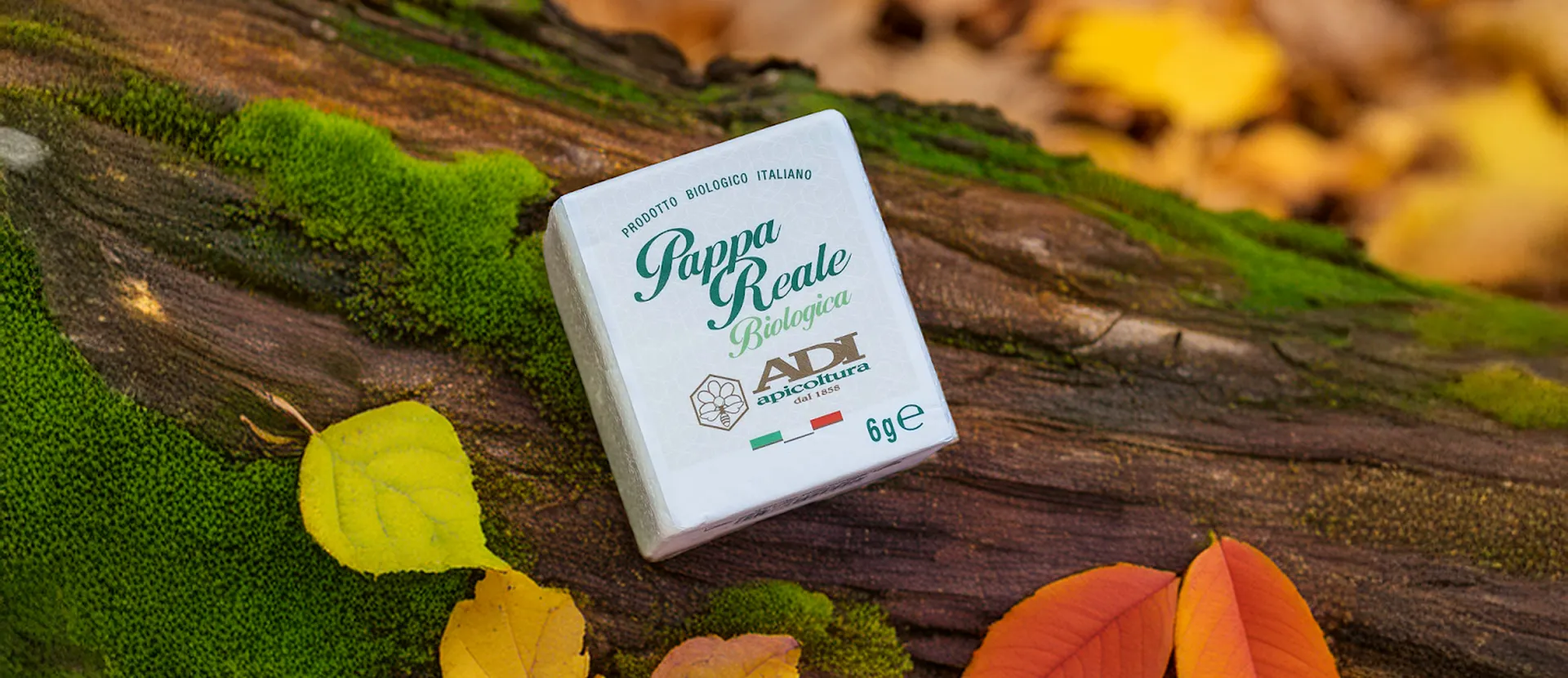 Pappa reale di ADI Apicoltura