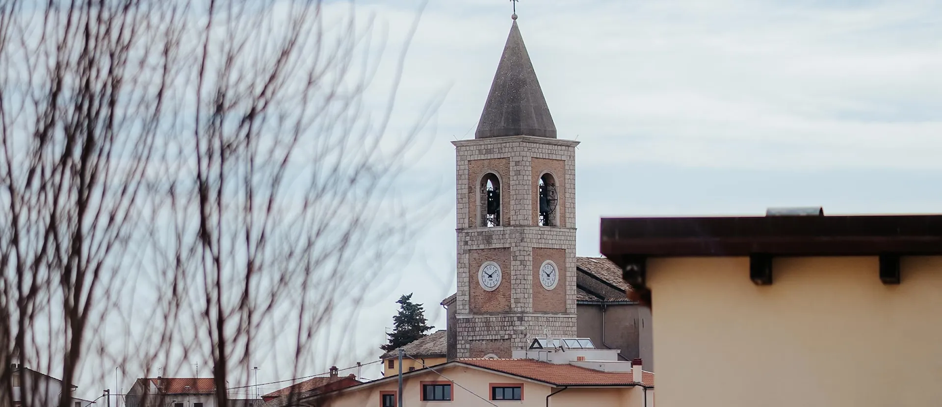 miele biologico - ADI Apicoltura